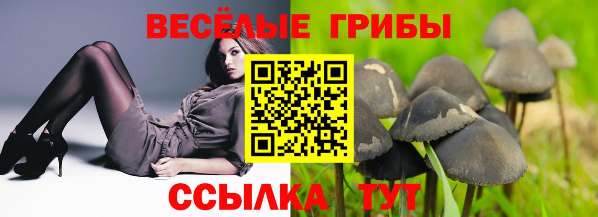 хочу   Вход с VPN  Псилоцибиновые грибы Magic Shrooms  Орск  Галлюциногенные грибы Psilocybine cubensis 